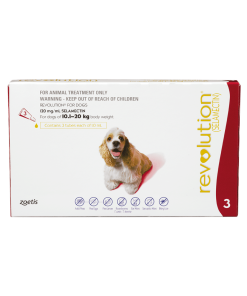 Revolution Dog 10-20kg Red 3 pack