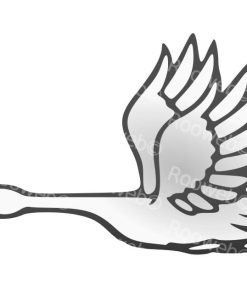 Swan in Flight